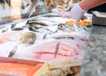 鮮魚陳列（品質確認）